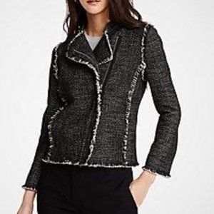 Ann Taylor Tweed Fringe Moto Jacket Black Small